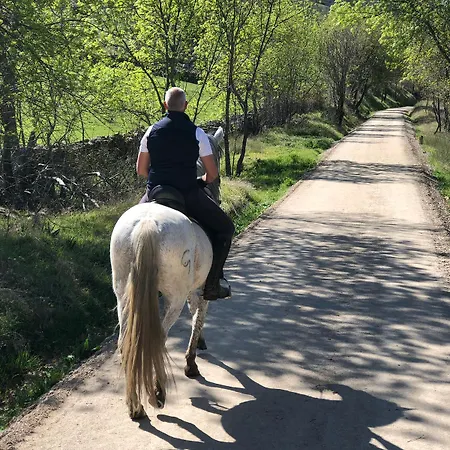 犹太教堂水疗酒店