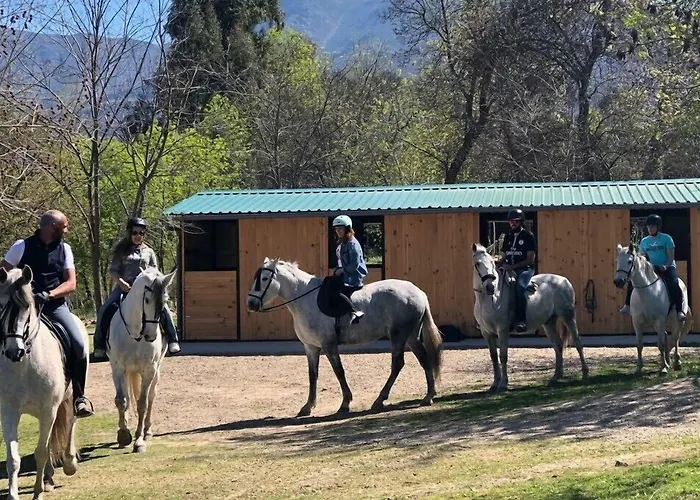 Sinagoga 3* Хервас